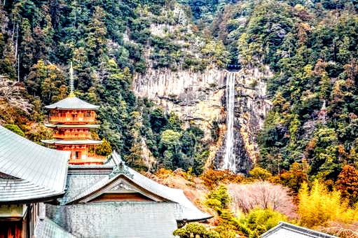 新宮・東牟婁の確定申告(法人・個人) - 和歌山県税理士報酬情報 メインビジュアル